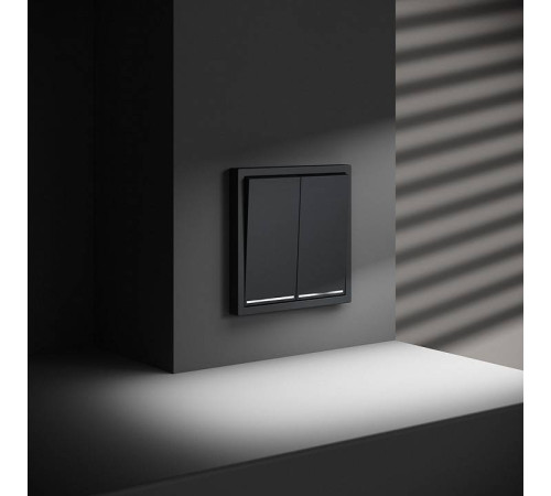 Выключатель проходной двухклавишный с подсветкой без рамки Voltum S70 VLS020407