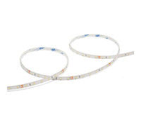 Лента светодиодная Wolta  WLS2835-6W/3000/24S60-01