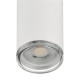 Подвесной светильник Wolta AQUA WSL-GU10/P14W
