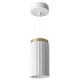 Подвесной светильник Wolta MUSE WSL-GX53/P19WG-2