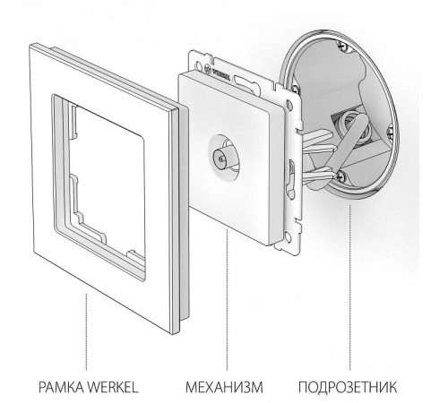 ТВ-розетка оконечная без рамки Werkel W1183006
