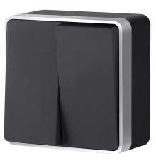 Выключатель двухклавишный Werkel Gallant (черный с серебром) W5020034