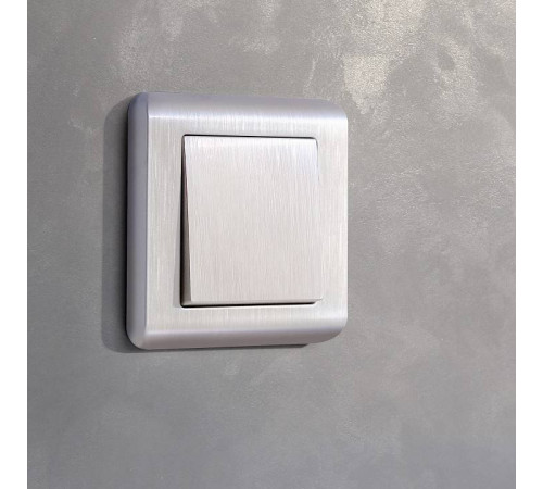 Рамка на 1 пост Werkel Snabb basic 4 W0012113