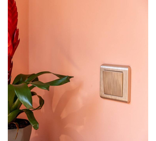 Выключатель одноклавишный без рамки Werkel W111 2 W1110010