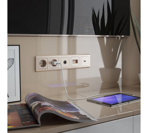 Накладка для розетки HDMI Werkel W1196010