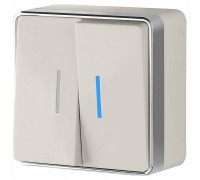 Выключатель двухклавишный с подсветкой Werkel Gallant 2 W5020103