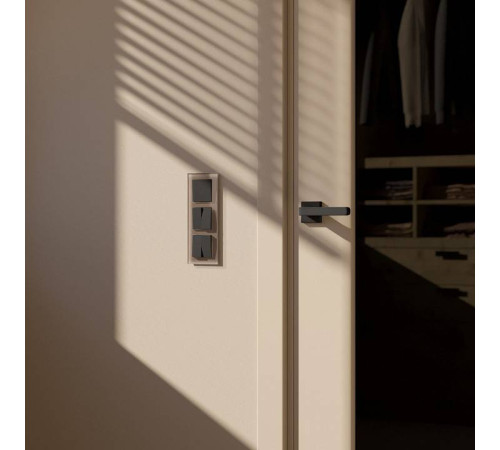 Рамка на 3 поста Werkel Favorit латте W0031142