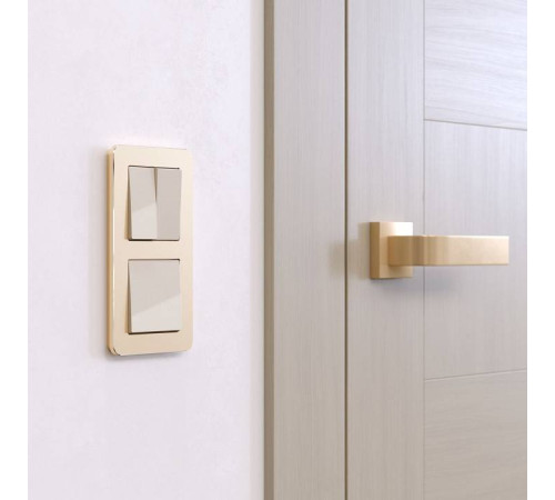 Рамка на 2 поста Werkel Platinum шампань W0022611