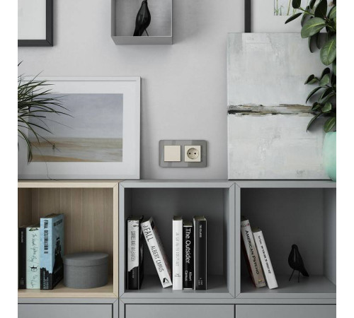 Розетка с заземлением, без рамки Werkel Айвори матовый W1171062