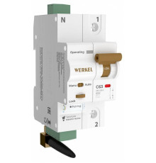 Автоматический выключатель 1P с Wi-Fi Werkel  W1001P6301