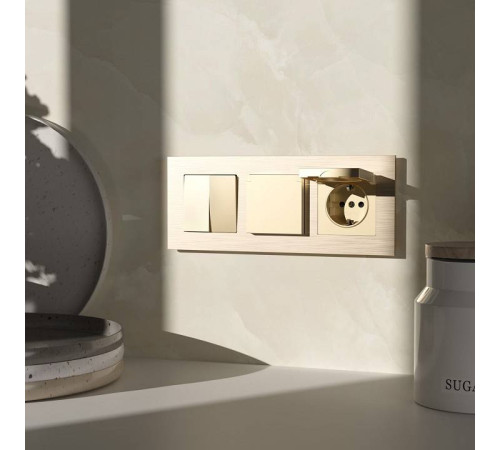 Розетка с заземлением и со шторкой, без рамки с крышкой Werkel шампань W1171211