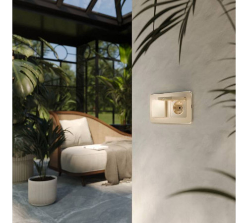 Розетка с заземлением и со шторкой, без рамки с крышкой Werkel шампань W1171211