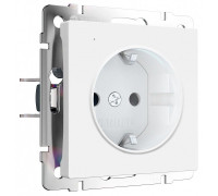 Розетка с заземлением с подсветкой, без рамки Werkel DBQ29 W1171461