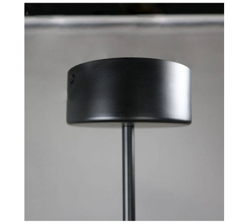 Подвесная люстра Zortes Lunar ZRS.01243.06