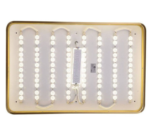 Накладной светильник Zortes Monna ZRS.1209.09