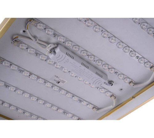 Накладной светильник Zortes Monna ZRS.1209.09