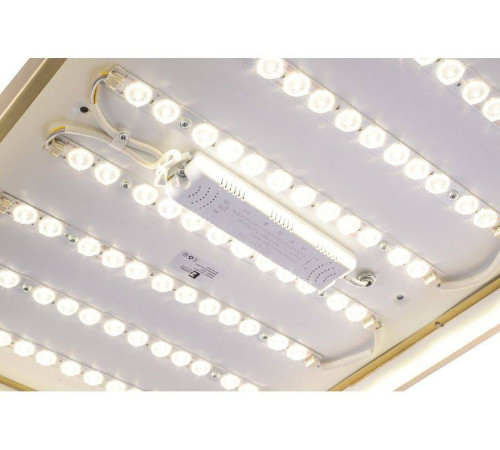 Накладной светильник Zortes Monna ZRS.1209.09