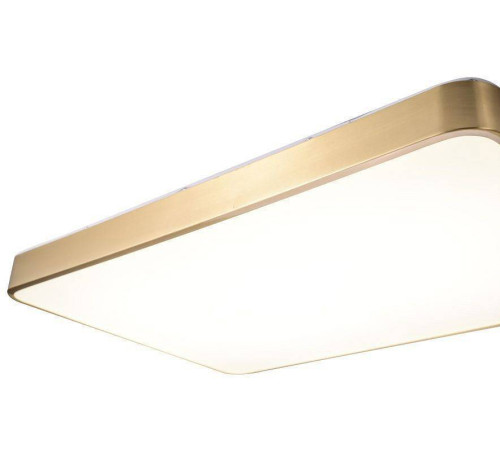 Накладной светильник Zortes Monna ZRS.1209.09