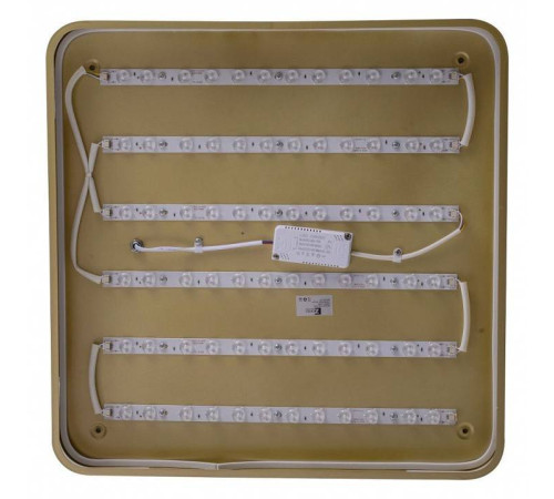 Накладной светильник Zortes Gabby ZRS.1215.04