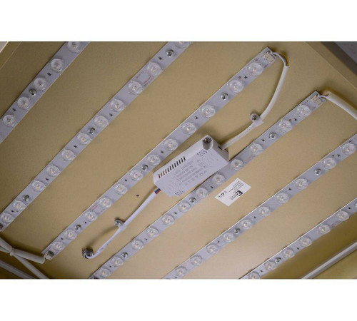 Накладной светильник Zortes Gabby ZRS.1215.04