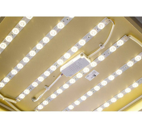 Накладной светильник Zortes Gabby ZRS.1215.04