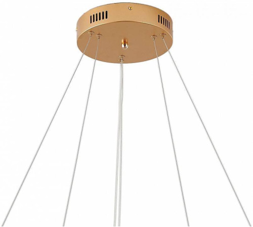 Подвесной светильник Zortes RINGOLIGHT ZRS.33320.63C