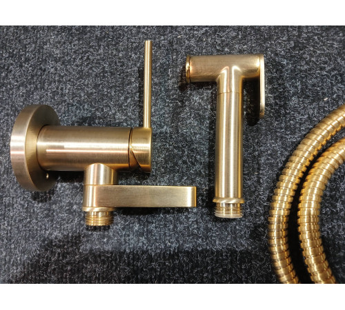 Гигиенический душ Gattoni RT010SG со встроенным смесителем Oro Brush RT010SG