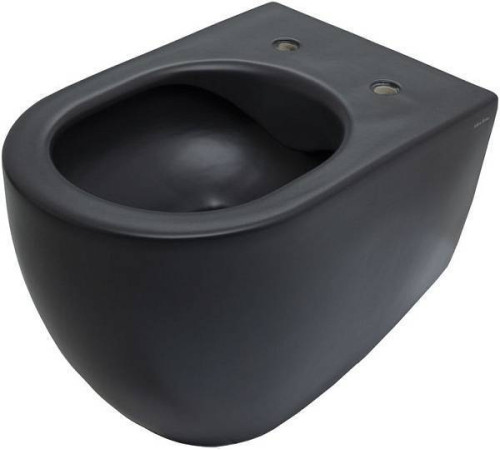 Чаша подвесного унитаза Allen Brau Reality черный 4.32006.31