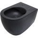 Чаша подвесного унитаза Allen Brau Reality черный 4.32006.31