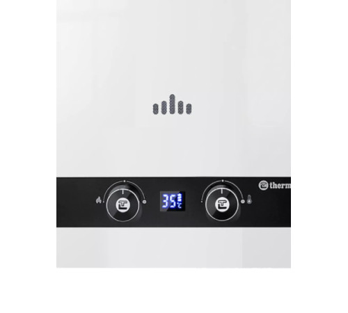 Газовая колонка Thermex Basic B 20 D Pro B 20 D Pro