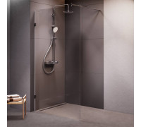 Душевая перегородка AM.PM Walk In 110х195 см W94UWI-110-F1-MTE