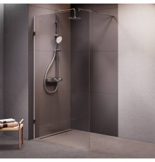 Душевая перегородка AM.PM Walk In 110х195 см W94UWI-110-F1-MTE