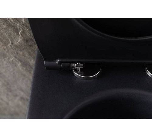 Чаша подвесного унитаза Allen Brau Reality черный 4.32006.31