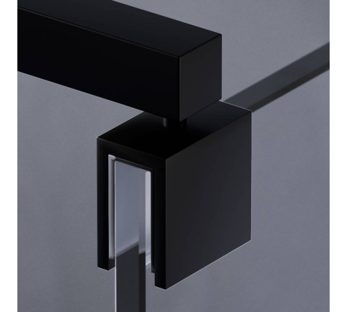 Душевая перегородка AM.PM Walk In 100x200 см W84WI-100-F1-BTE