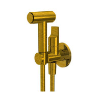 Гигиенический душ FIMA Carlo Frattini Collettività настенный со шлангом 120 см брашированное золото F2320/4OS