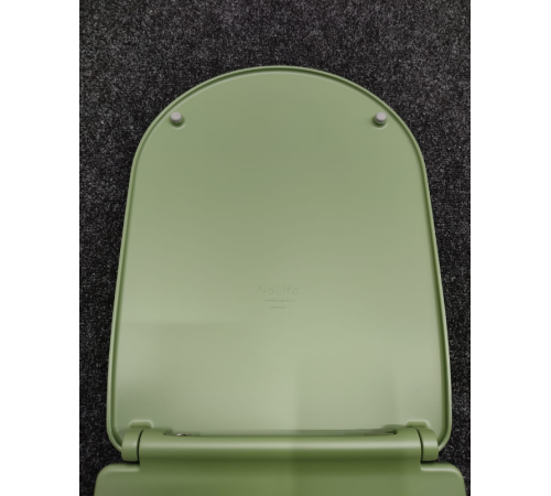 Сиденье для унитаза Kerasan Nolita SLIM быстросъемное Verde петли хром 539111