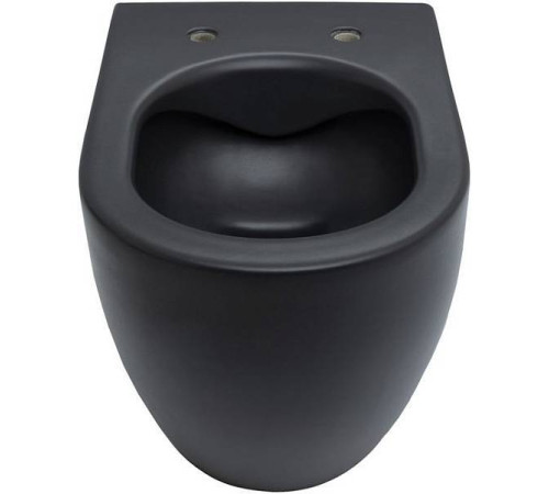 Чаша подвесного унитаза Allen Brau Reality черный 4.32006.31