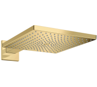 Верхний душ Hansgrohe Raindance E 300 1jet 300 мм с держателем полированное золото 26238990