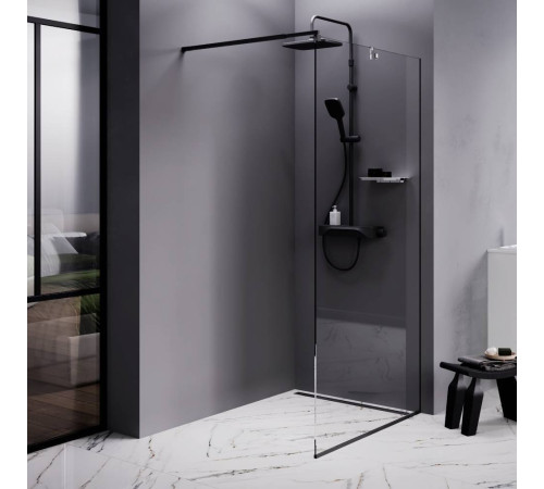 Душевая перегородка AM.PM Walk In 100x200 см W84WI-100-F1-BTE
