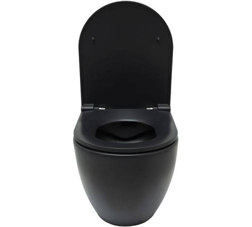 Чаша подвесного унитаза Allen Brau Reality черный 4.32006.31