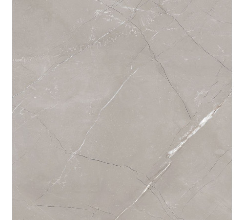 Керамогранит Laparet Vitrum Grigio серый матовый 60x60 см 9999275909