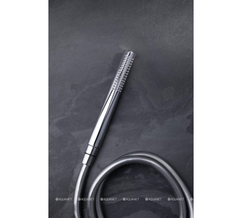 Ручной душ Allen Brau Priority латунь хром 5.31020-00