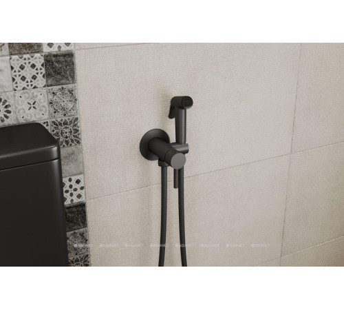 Смеситель с гигиеническим душем Bravat черный D9151BW-ENG