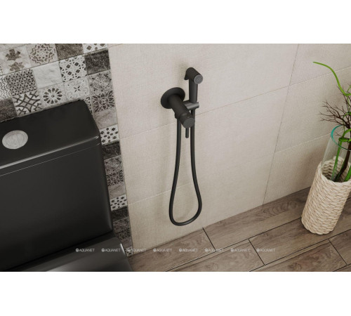 Смеситель с гигиеническим душем Bravat черный D9151BW-ENG