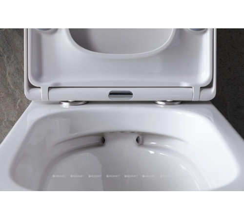 Сиденье для унитаза Allen Brau LIBERTY Soft-Close дюропласт белый 4.33006.20