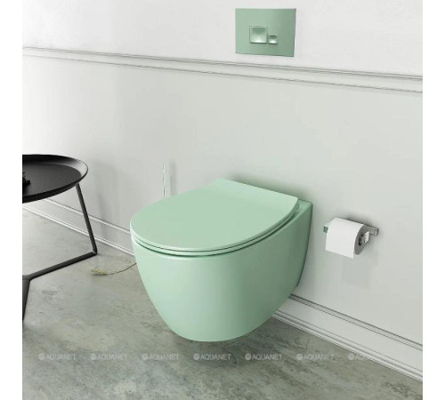 Сиденье для унитаза Allen Brau Fantasy Smartfix Soft-Close дюропласт мятный 4.11005.MT