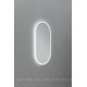 Зеркало Aquanet Монте 50x100 LED овальное 00288970