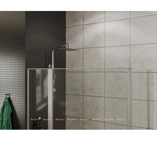 Душевое ограждение Allen Brau Priority 1200x900 мм 8 мм хром 3.31031.00/3.31043.00