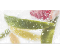 Декор Ceradim Mojito 2 25x45 см х9999019082