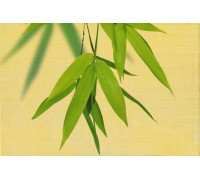 Декор Belarti OLL 3 20х30 см х9999033889